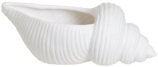 Fjæra skjell 17 cm
