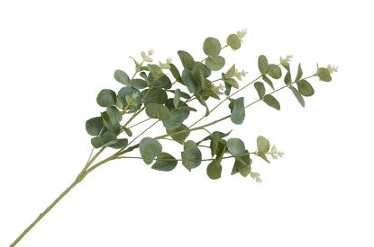 Gren eucalyptus 93 cm