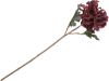 Krysantemum stilkblomst 50 cm burgunder