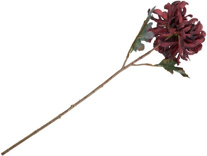 Krysantemum stilkblomst 50 cm burgunder