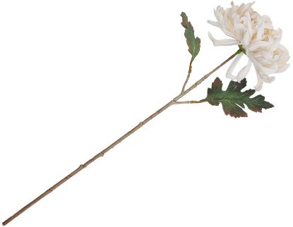 Krysantemum stilkblomst 50 cm hvit